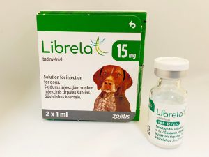 The Impact of Librela: An Arthritis Drug for Senior Dogs and Owner Concerns-2