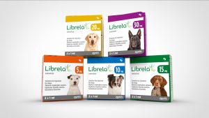 The Impact of Librela: An Arthritis Drug for Senior Dogs and Owner Concerns-1